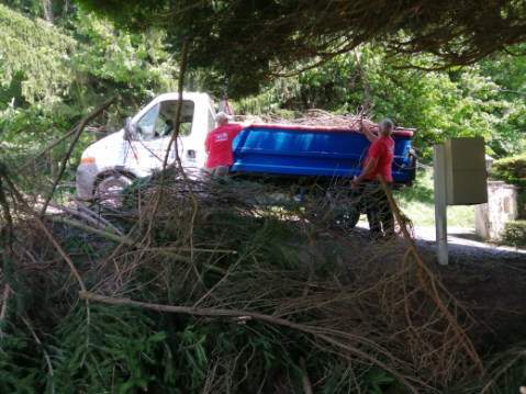 Intervention spécialistes entretien jardin Passy